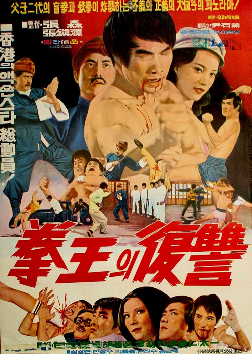 Movie poster for Blind Boxer (1972)