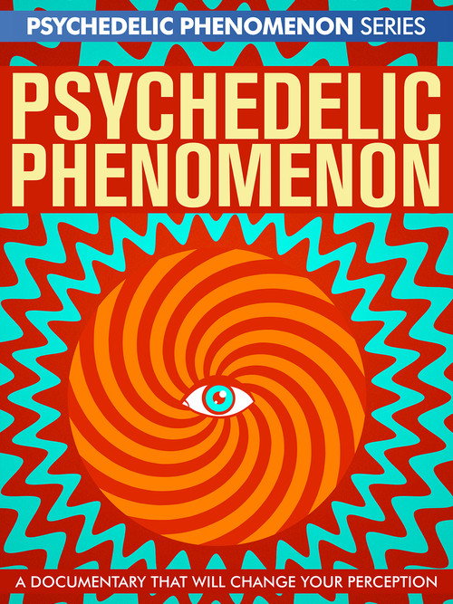 Movie poster for Psychedelic Experiences (2023)