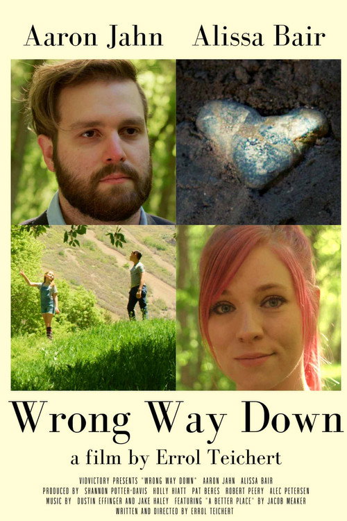 Movie poster for Wrong Way Down