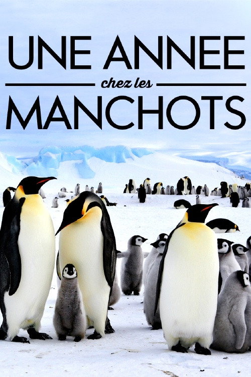 Movie poster for A Year With the Penguins (2017)