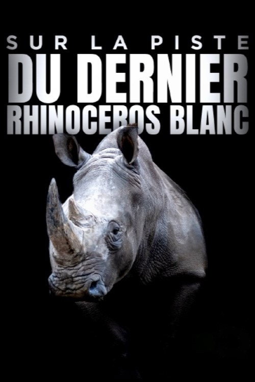 Movie poster for Sur la piste du dernier rhinocéros blanc (2022)