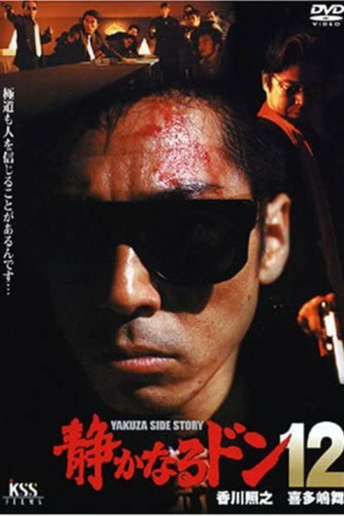 Movie poster for Quiet Don 12 (2001)