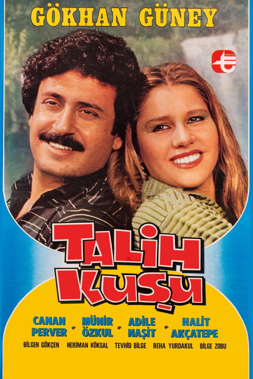 Movie poster for Talih Kuşu (1982)