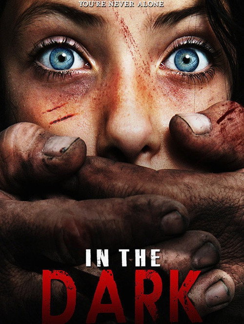 Movie poster for In the Dark