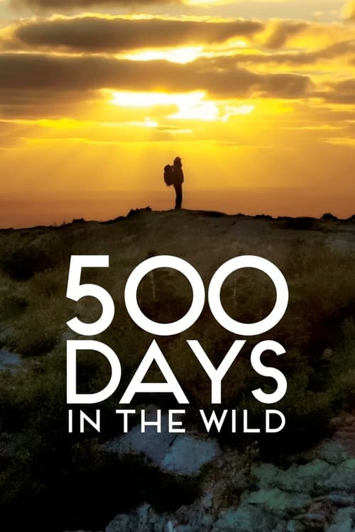 Movie poster for 500 Days in the Wild (2024)