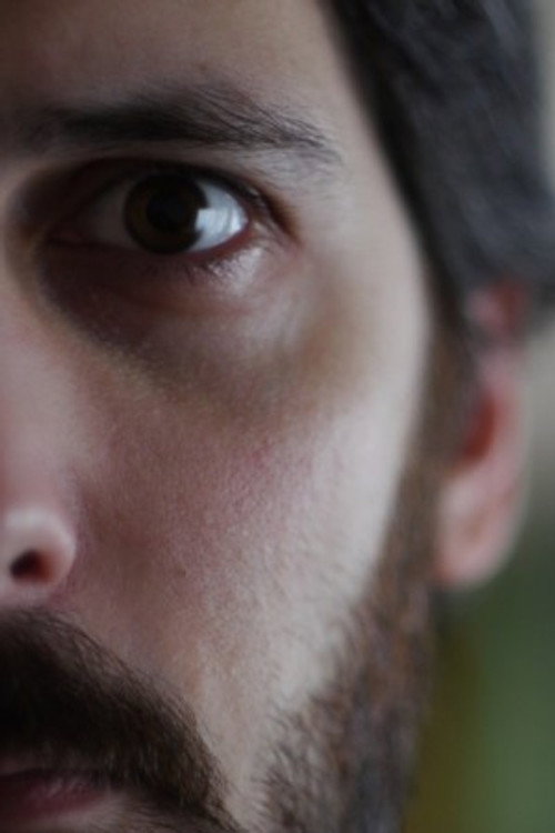 Photo of Vincent Guilbert, Directing
