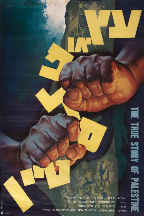 Movie poster for The True Story of Palestine (1962)