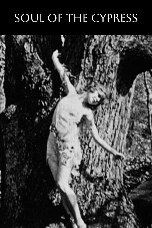 Movie poster for Soul of the Cypress (1921)