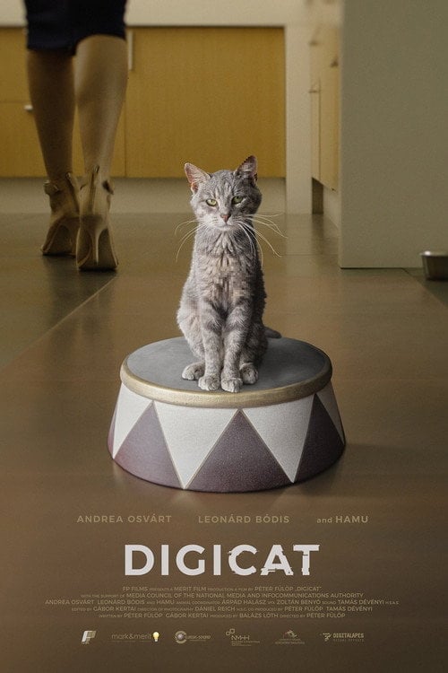 Movie poster for Digicica (2020)