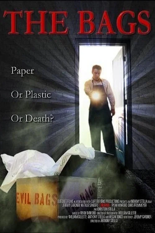 Movie poster for The Bags