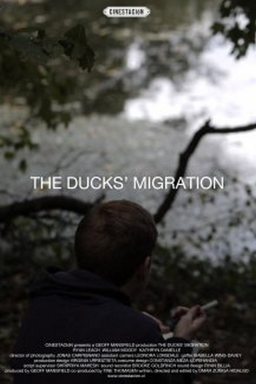 Movie poster for The Ducks' Migration (2012)