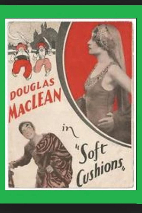 Movie poster for Soft Cushions (1927)