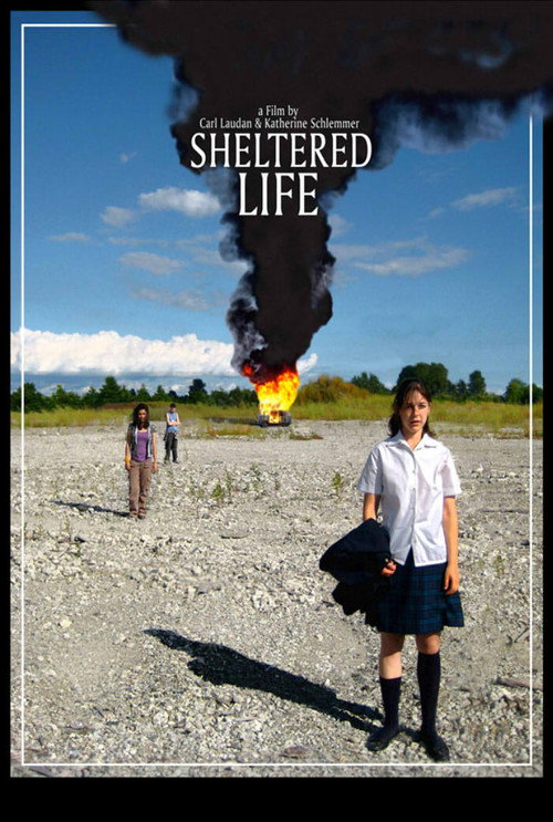 Movie poster for Sheltered Life (2008)