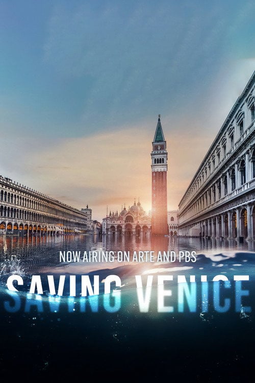 Movie poster for Saving Venice (2022)