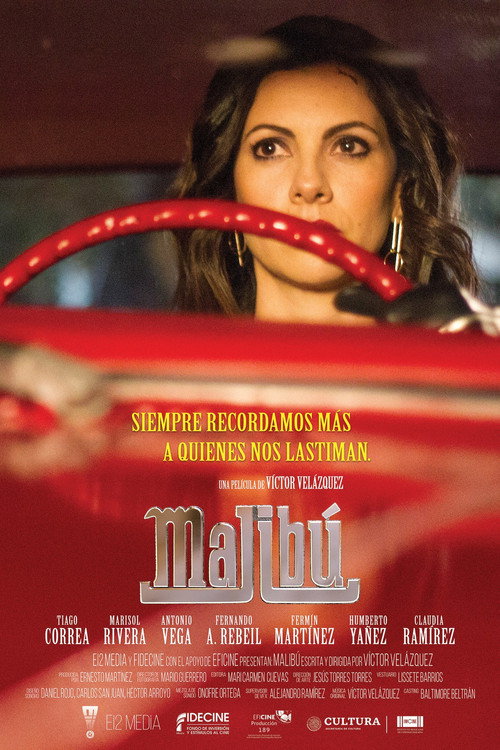 Movie poster for Malibu (2021)