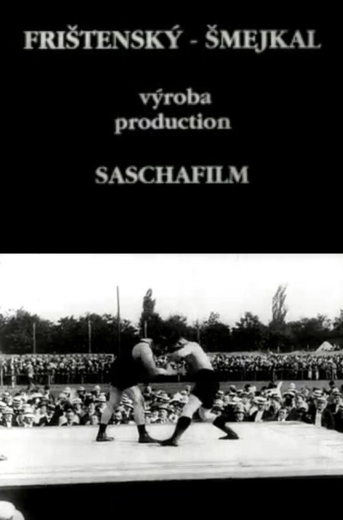 Movie poster for Frištenský - Šmejkal (1913)