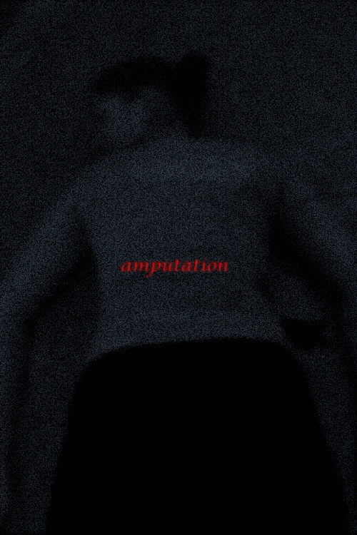 Movie poster for Amputation (2024)