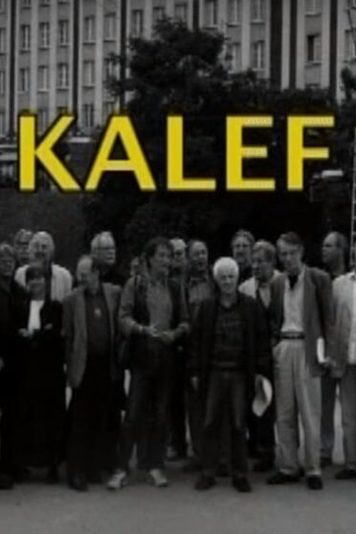 Movie poster for Kalef - A Moszkva téri galeri (2008)