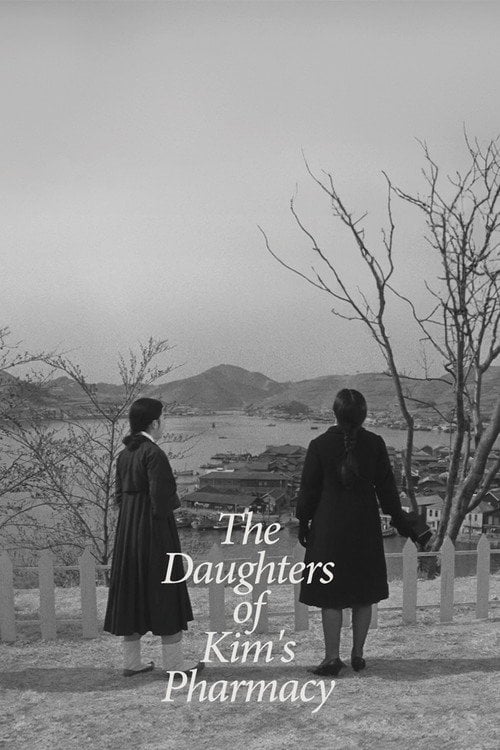 Movie poster for The Daughters of Kim's Pharmacy (1963)