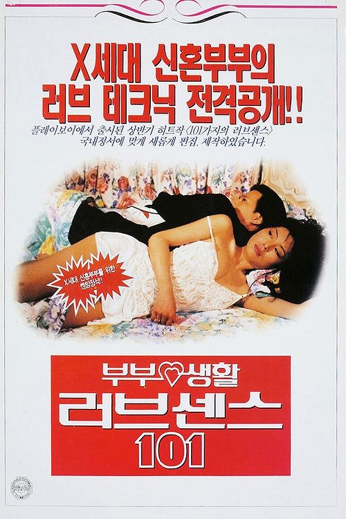 Movie poster for 부부생활 러브센스 101 (1995)