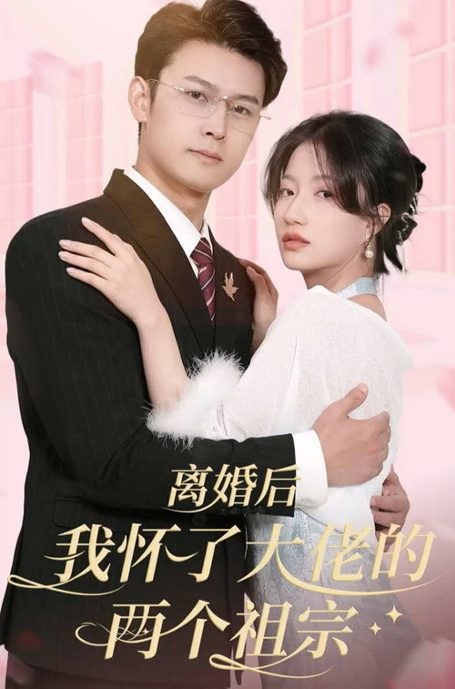 离婚后我怀了大佬的两个祖宗 poster