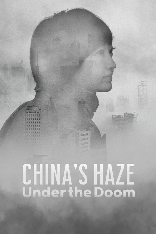 Movie poster for China's Haze: Under the Doom (2015)