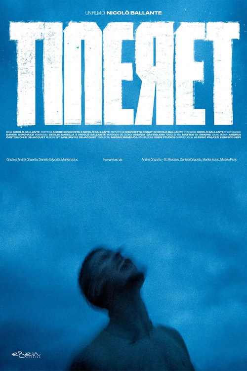 Movie poster for Tineret (2024)