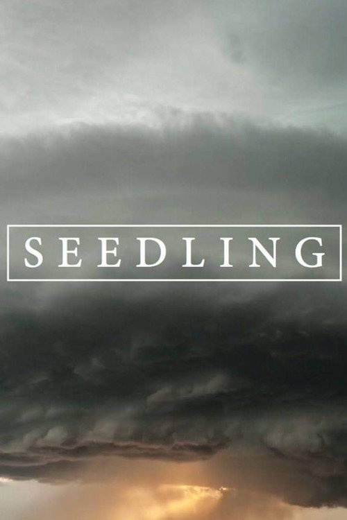 Movie poster for Seedling (2017)