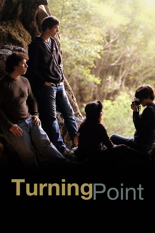 Movie poster for Turning Point (2011)