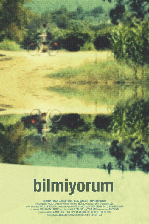 Movie poster for In Void