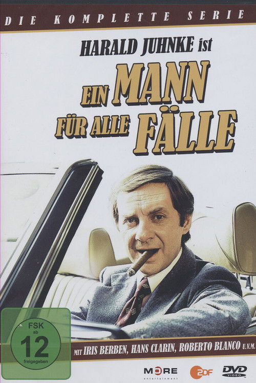 Ein Mann für alle Fälle poster