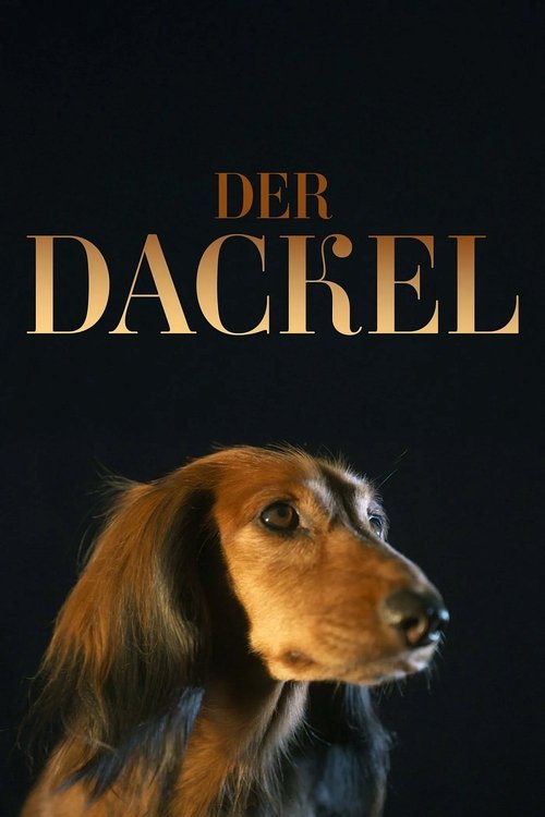 Movie poster for The Dachshund (2025)