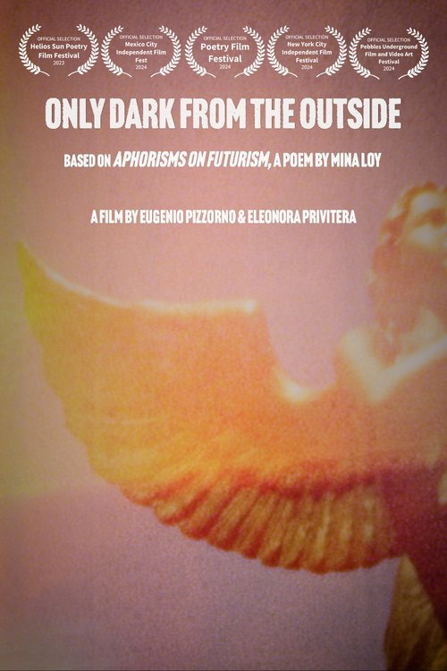 Movie poster for ONLY DARK FROM THE OUTSIDE (2024)