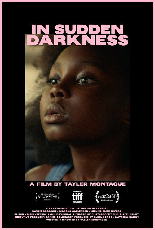 Movie poster for In Sudden Darkness (2020)