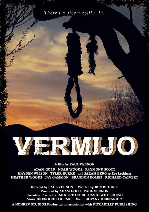Movie poster for Vermijo (2017)
