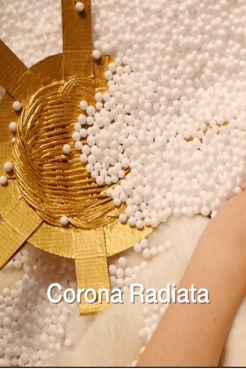 Movie poster for Corona Radiata (2017)