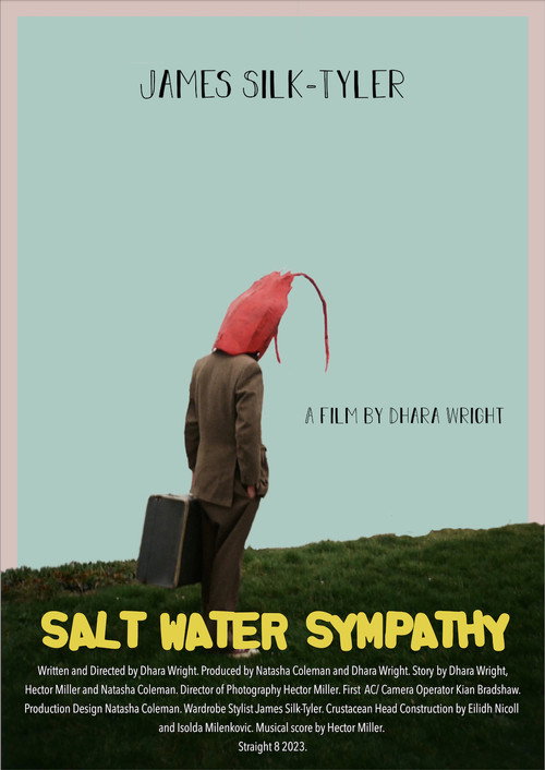 Movie poster for Salt Water Sympathy