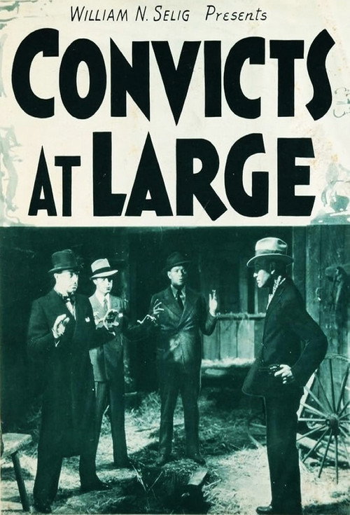 Movie poster for Convicts at Large (1938)
