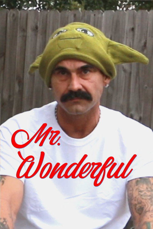 Movie poster for Mr. Wonderful (2022)