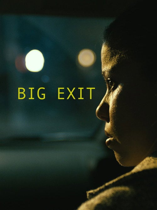 Movie poster for Big Exit (2020)