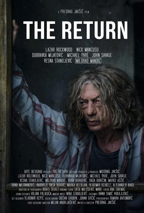 Movie poster for The Return (2017)