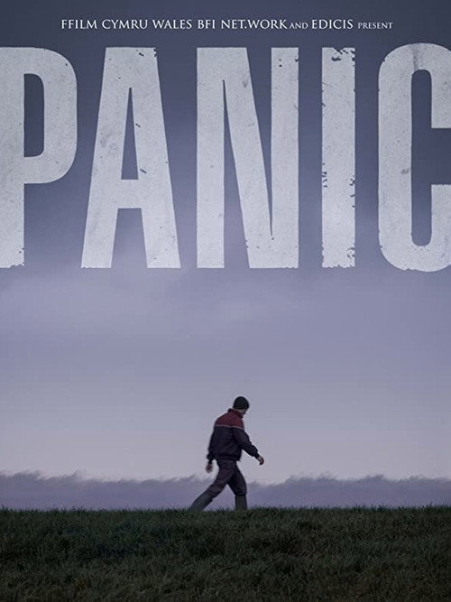 Movie poster for Panic