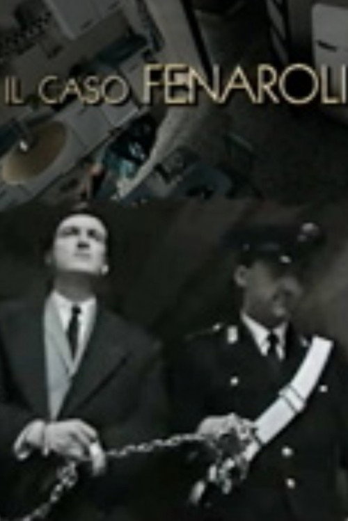 Movie poster for Il caso Fenaroli (1996)