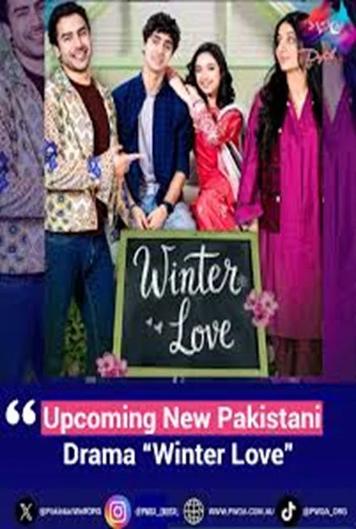Series poster for Winter Love (2026)
