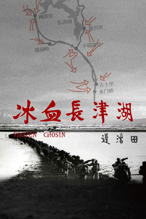 Movie poster for 冰血长津湖 (2011)