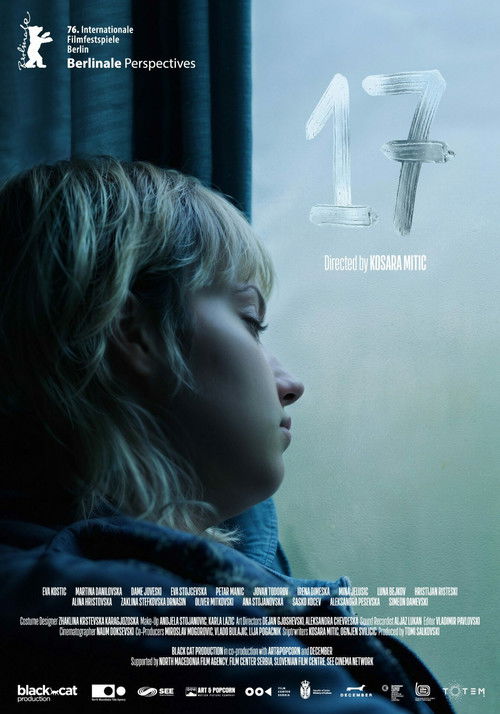 Movie poster for 17 (2026)