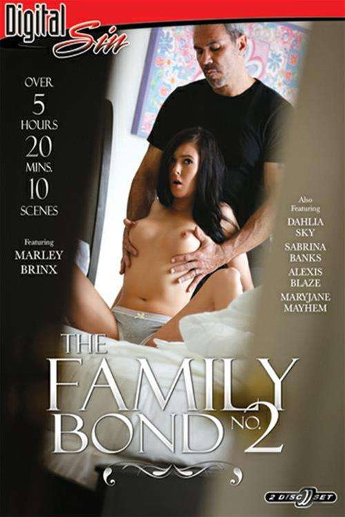 Movie poster for The Family Bond 2 (2016)