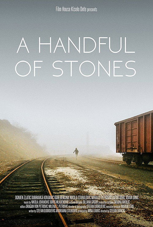 Movie poster for A Handful of Stones (2017)