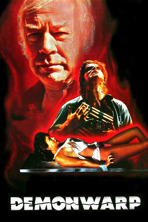 Movie poster for Demonwarp (1988)
