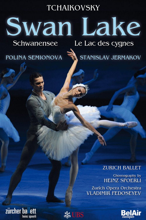 Movie poster for Swan Lake (2010)